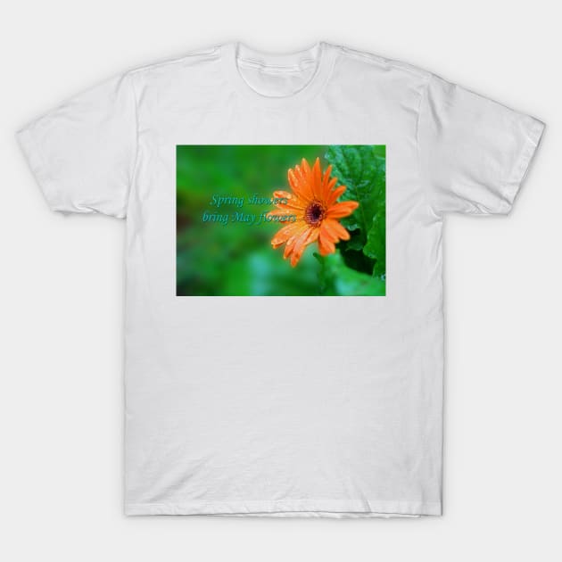 Spring showers T-Shirt by ikshvaku